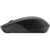 HP 150 Rato Sem Fios RF Wireless Ambidestro 1600 DPI Ótico 3 Botões Preto - 2S9L1AA - 0195161814655