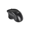 TooQ TQMWG-1105-B Rato Sem Fios RF Wireless Universal 1600 DPI Ótico 6 Botões Preto - 8433281017542