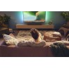 Philips TAB5109/10 Coluna Soundbar 2.0 60W, Bluetooth/HDMI ARC, Cinzento - 4895229136762