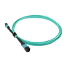 Safire SF-MPO-UPC-3M